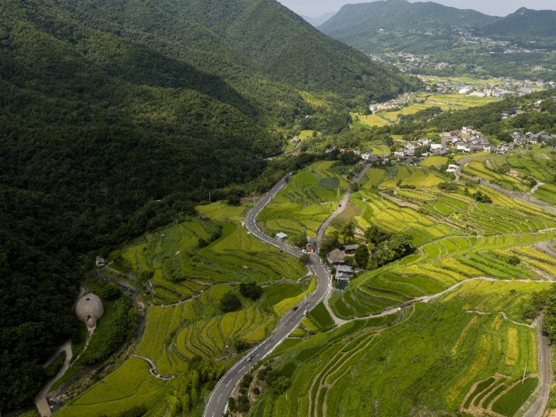 画像：中山千枚田